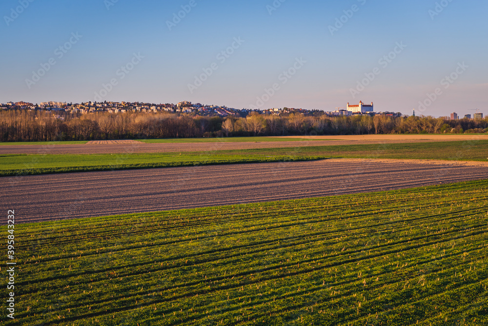 Fields in Lower Austria - Bratislava cityscape on background, Slovakia