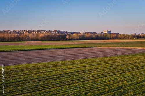 Fields in Lower Austria - Bratislava cityscape on background  Slovakia