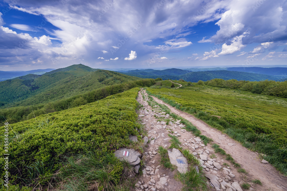 Hiking trail from Orlowicz mountain pass to Smerek mountain in Bieszczady National Park, Poland Hiking trail from Orlowicz mountain pass to Smerek mountain in Bieszczady National Park, Poland