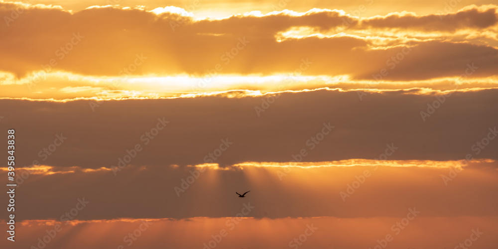 Landscape by the Sea