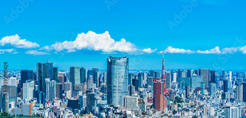 Obraz na plátně 日本の首都・東京の摩天楼 ~ The landscape of Tokyo, one of the three largest cities in the wo