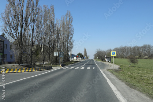 pedestrian crossing the road