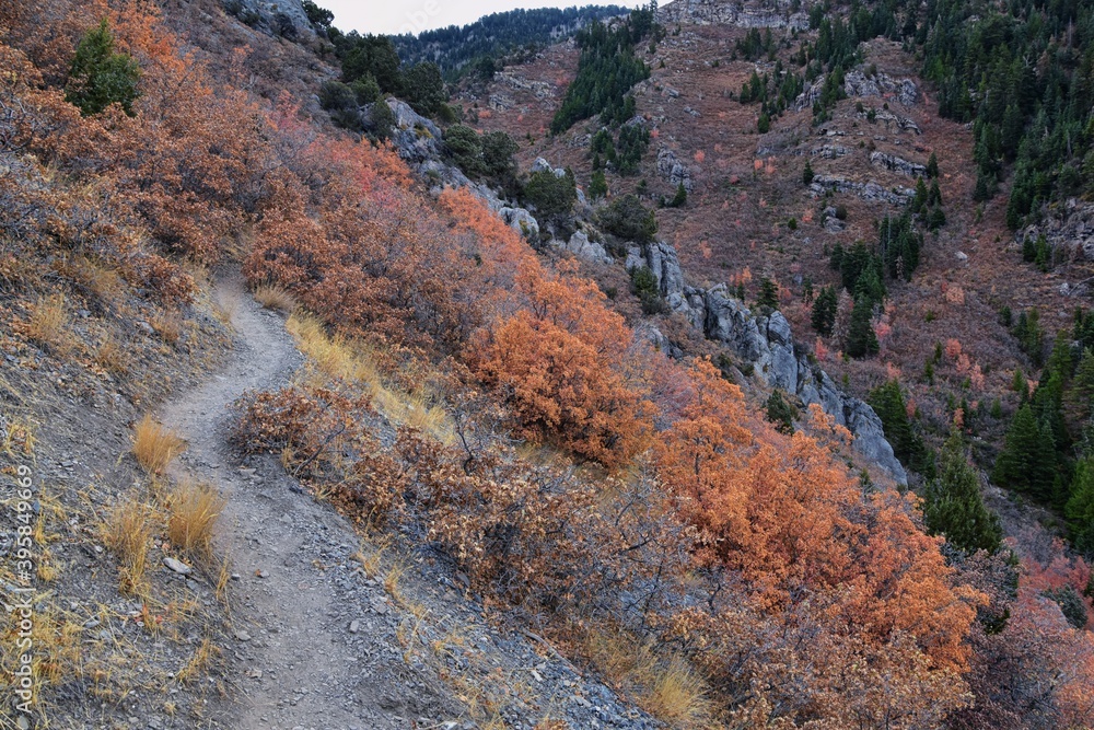 Slide Canyon hiking trail fall leaves mountain landscape view, around Y Trail, Provo Peak, Slate Canyon, Rock Canyon, Wasatch Rocky mountain Range, Utah, United States. 