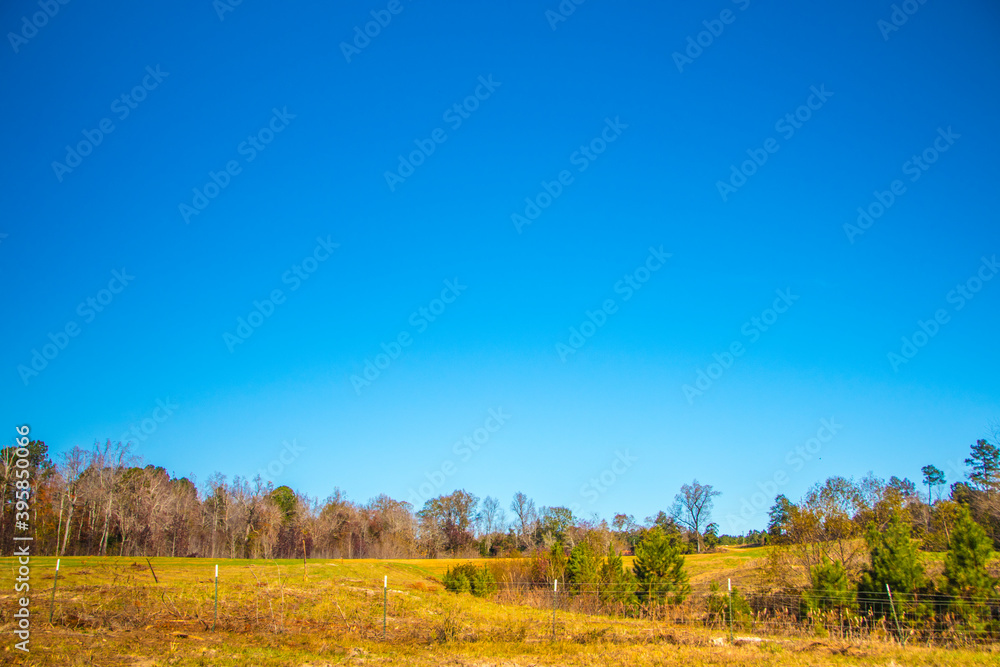 Farm land in rural south Georgia blue sky fence Farm land in rural south Georgia blue sky fence