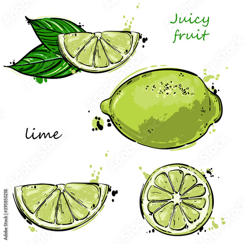 Vector abstract illustration of a lime.