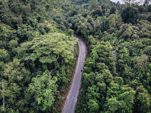 Top view of a straight road asphalt paved long road in a dense forest, along which a car is riding