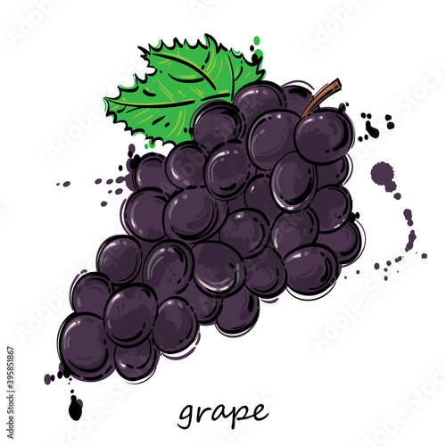 Vector abstract illustration of black grapes