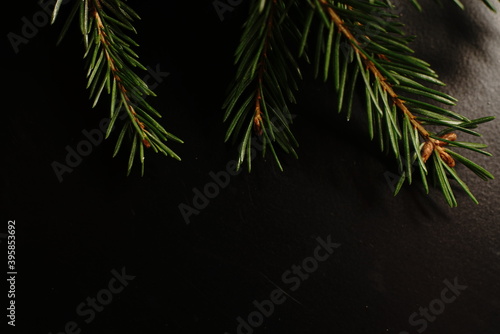 Christmas Tree on a black background. The view from the top. Dim lights.