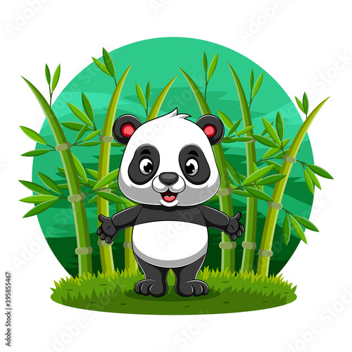 The little panda standing the bamboo field in the jungle with the happy