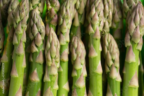 Papier peint Asparagus - Close Up