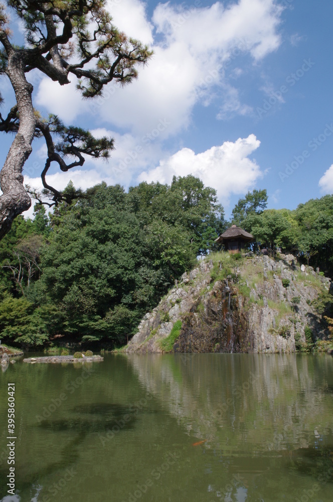 日本庭園の松と池