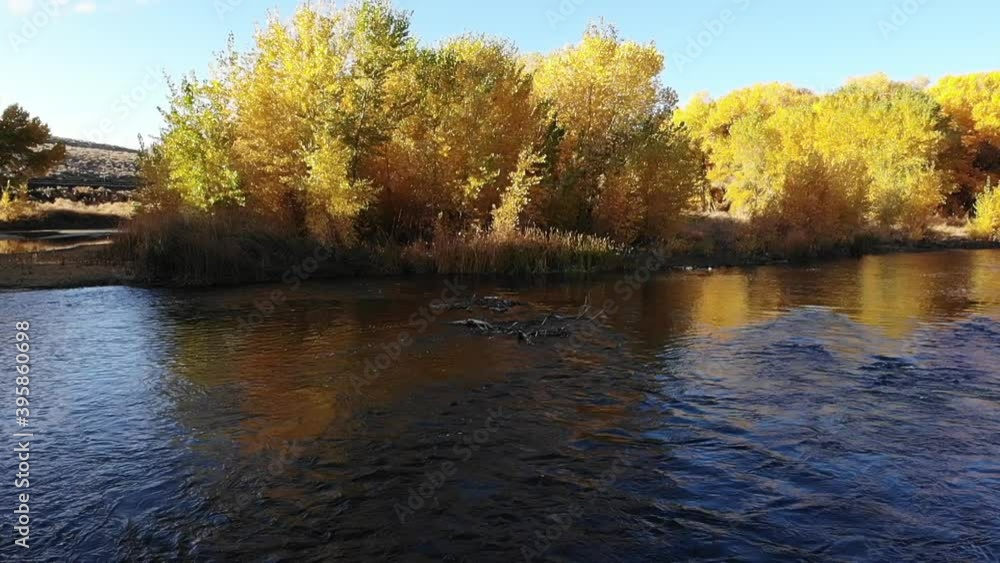 Slow motion drone flight turn to follow river upstream in fall . Slow motion drone flight turn to follow river upstream in fall .
