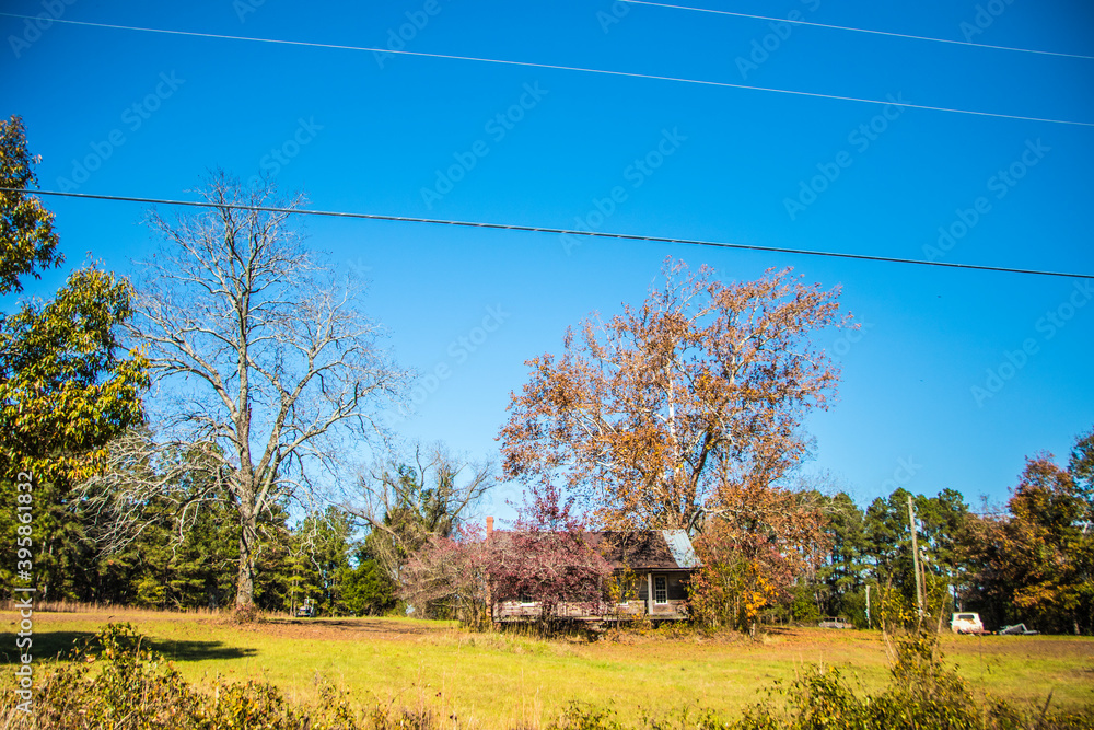 Fototapeta premium Old rustic abandoned house on a farm in rural Georgia during the Fall and trees