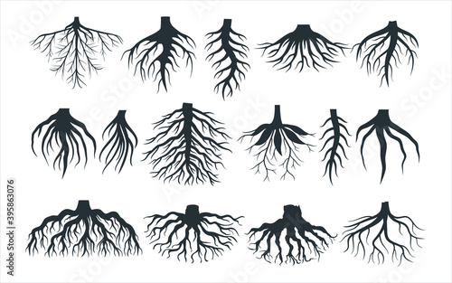 assorted plant root type shape vector graphic design template set for sticker, decoration, cutting and print file photo