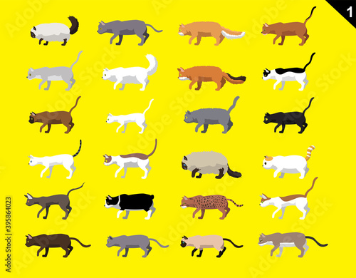 Animal Animation Sequence Cat Various Breeds Set 1 Cartoon Vector