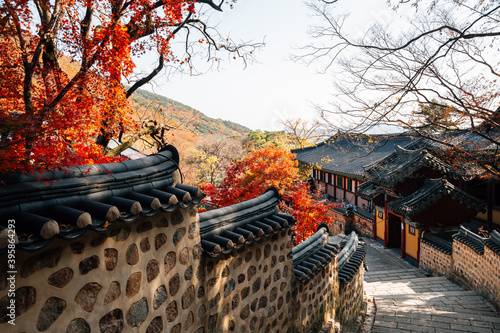 Obraz na płótnie Autumn of Beomeosa temple in Busan, Korea w salonie