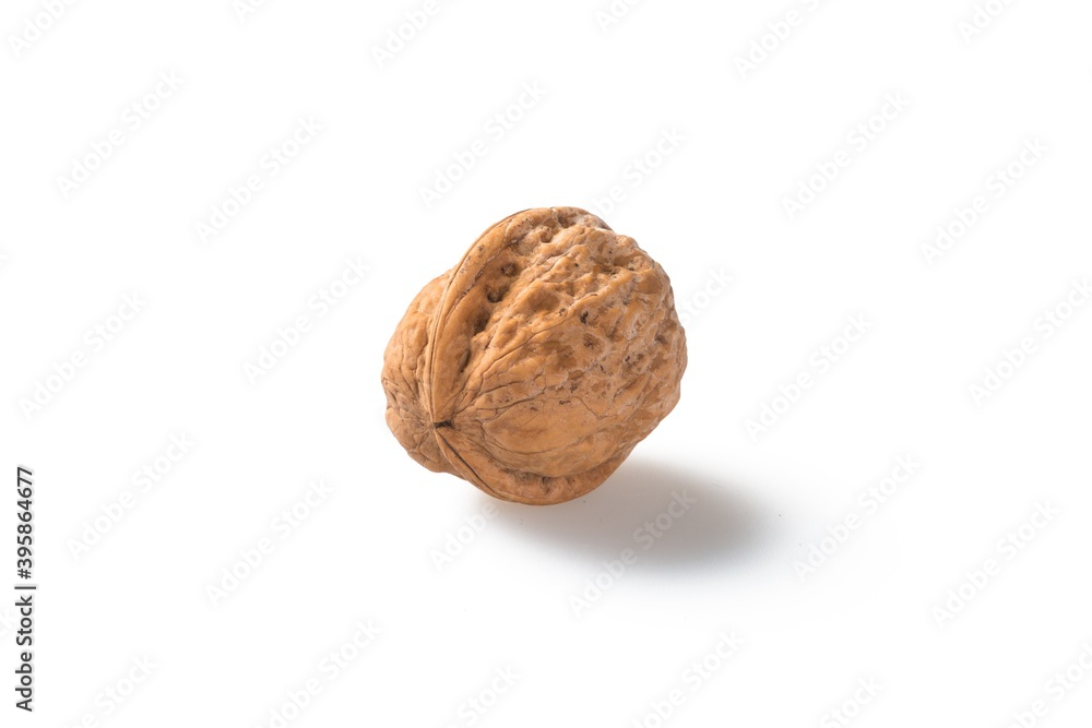Single Walnut Single Walnut