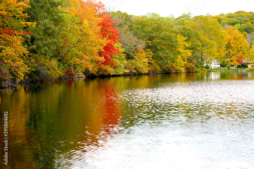 autumn Lake