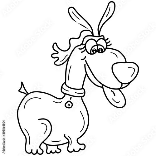 Dog Animal Cartoon