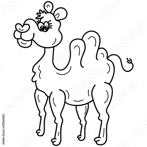 Camel Cartoon Character