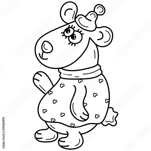 Bear Cartoon Animal 