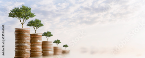 Young plant grow and coins stack, Pension fund, 401K, Passive income, Investment and retirement concept. savings and making money, Business investment growth concept. Risk management.
