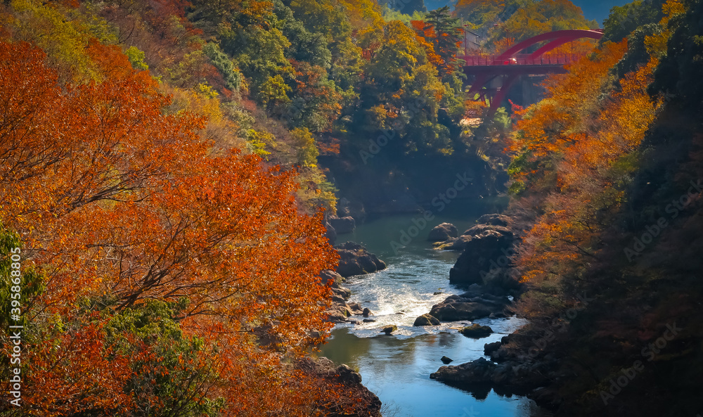 Takatsudokyo Gorge near Watarase Keikoku Railway in Midori, Gunma, Japan. November 16, 2020.