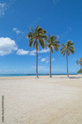 Three palm trees on the deserted beach in Waikiki. © ttrimmer