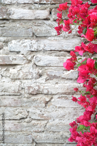 Muro de ladrillos con flores fucsia al costado derecho - se puede utilizar como fondo para exhibir o montar un producto