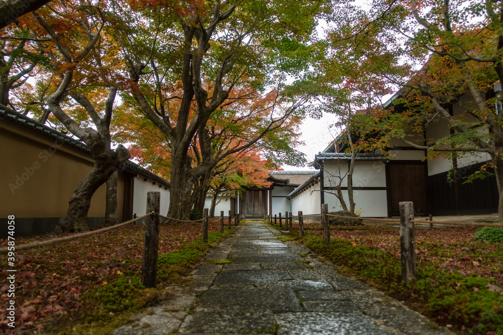 京都、紫野の大徳寺塔頭 黄梅院の紅葉の風景