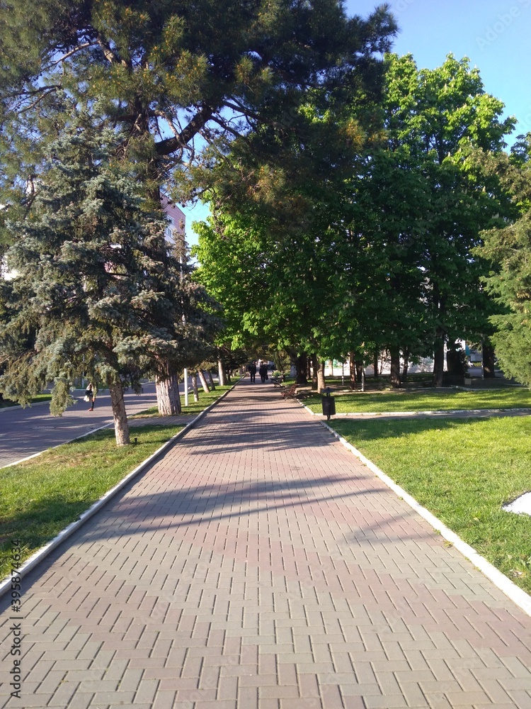 path in park path in park