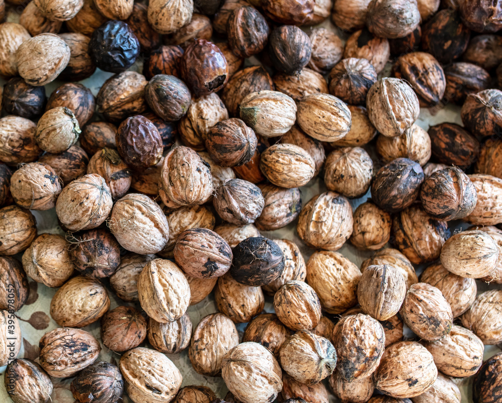 Walnut as background. Harvest from garden Walnut as background. Harvest from garden