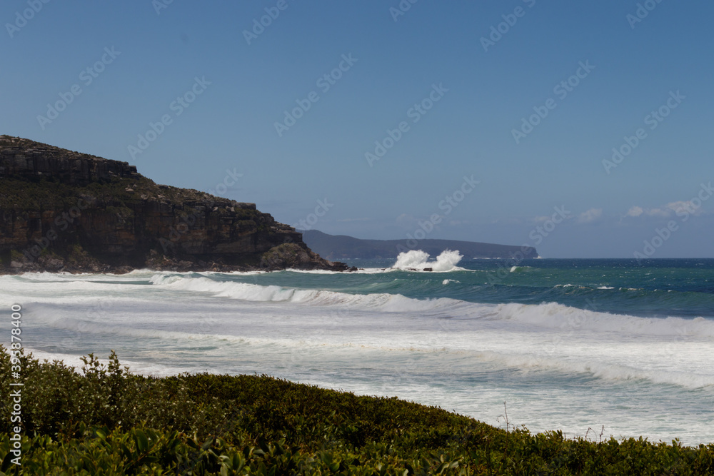 Palm Beach with ocean views and cliff in the distance, with selective focus on the foreground