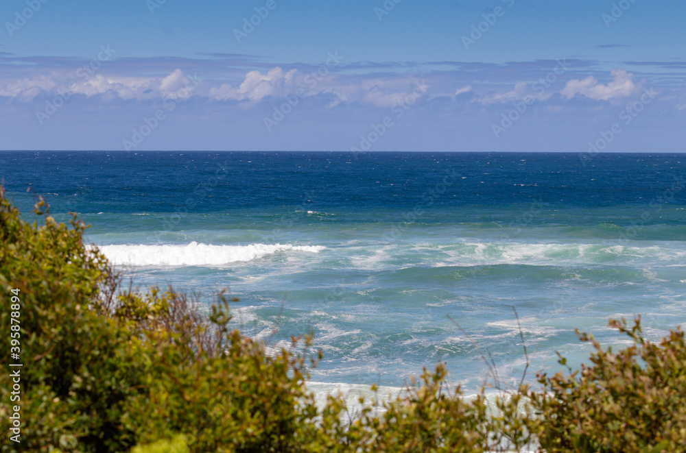 Palm Beach, in Sydney's north shore, with ocean views and low bushes with selective focus on the foreground, on a clear, sunny day