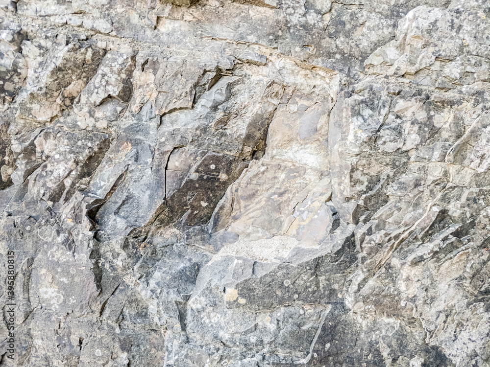 Fototapeta premium Abstract texture of rock near to the sea