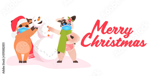 little oxes in santa hats standing with snowman cows wearing masks to prevent coronavirus pandemic new year winter holidays celebration concept full length horizontal vector illustration