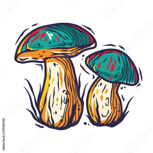 Vector illustration of boletus. Autumn mushroom picking for vegan food and cooking design