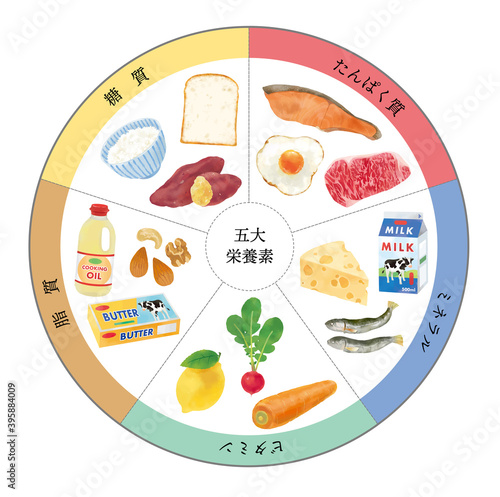 五大栄養素のおしゃれなベクターイラスト　人物なし