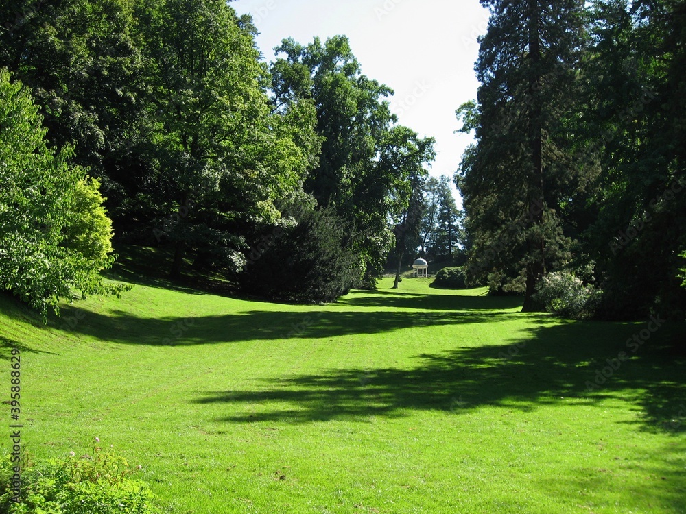 Obraz premium path in the park
