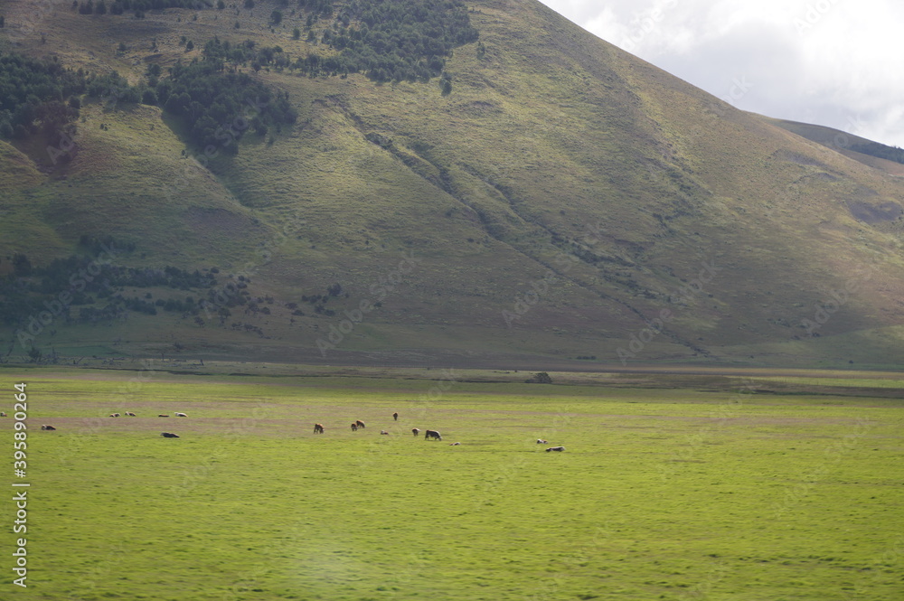 パタゴニアの景色　チリ/パイネ国立公園