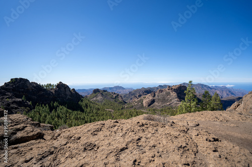 Mountain Landscape Canaries