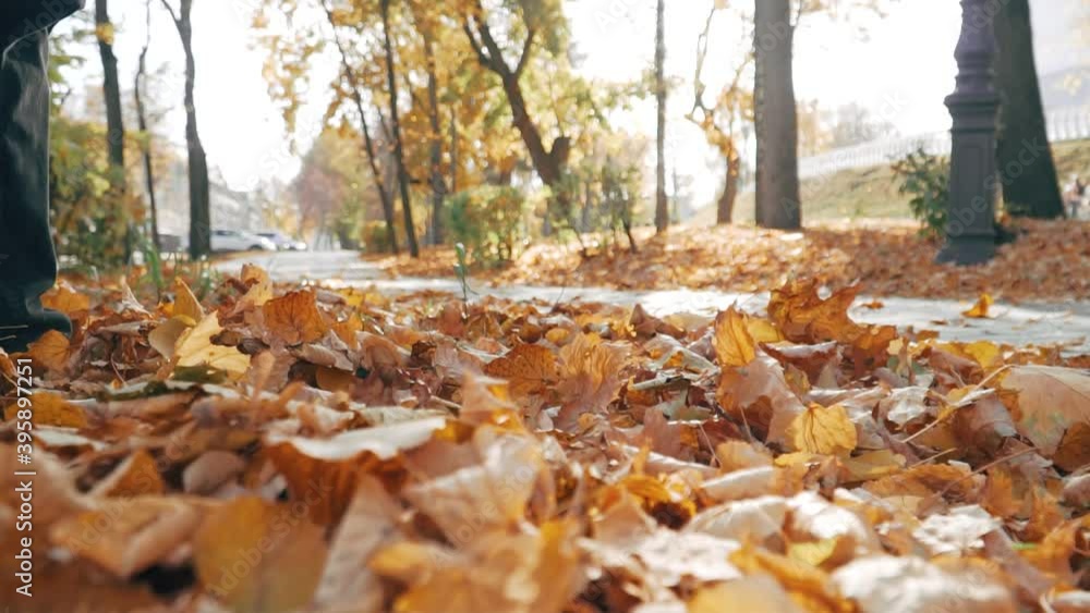 A man walks on dry yellow autumn leaves in good weather. Slow motion A man walks on dry yellow autumn leaves in good weather. Slow motion