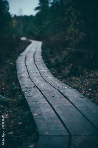 A wooden pathway trough the coniferous forest in dark tones
