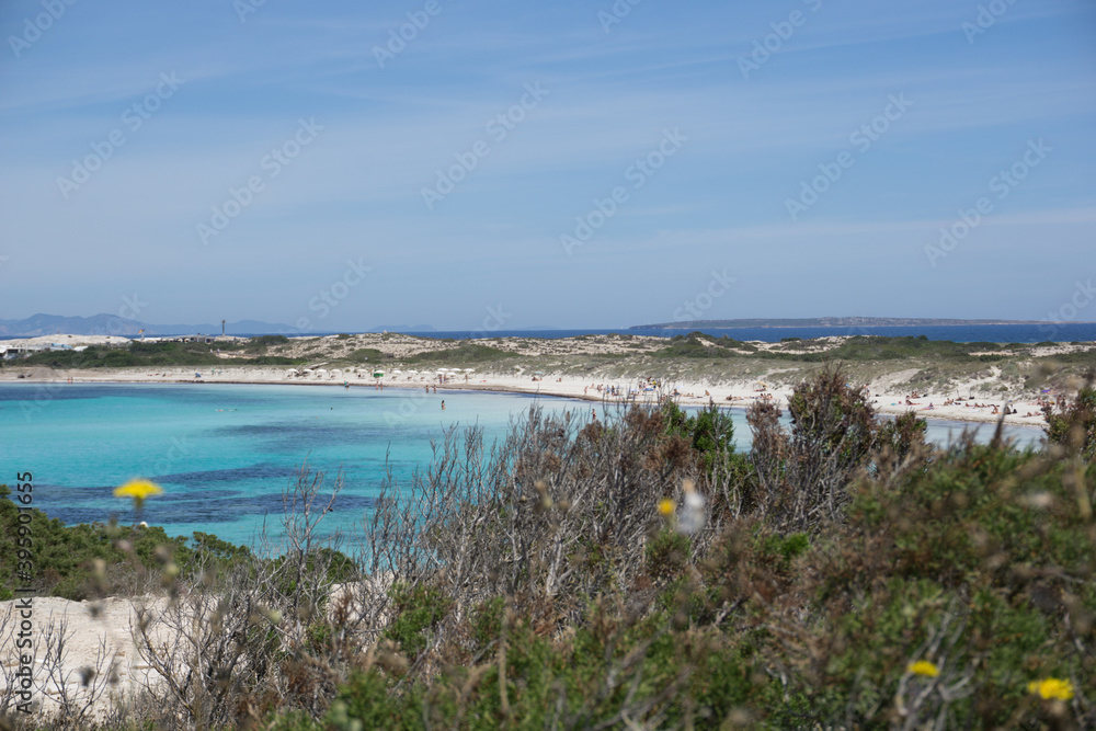 a bay with brilliant blue water from formentera a small island near ibiza
