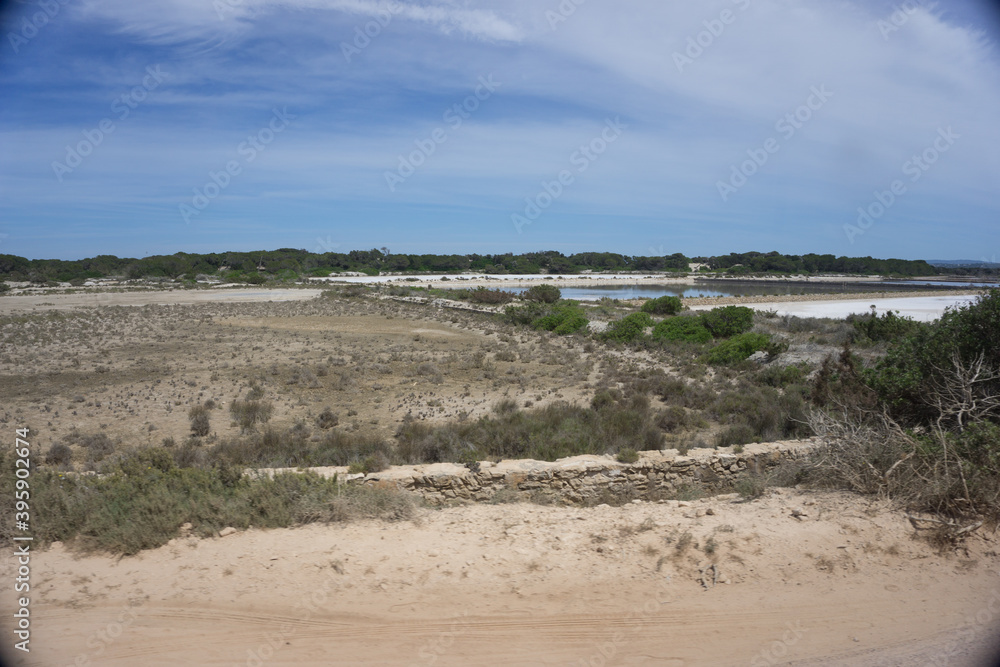 the beautiful nature of formentera a small island near ibiza
the beautiful nature of formentera a small island near ibiza
