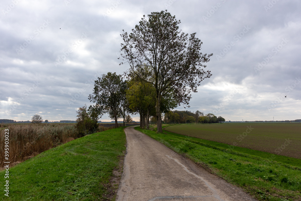 Oostwaard in the Brabantse Biesbosch in The Netherlands.