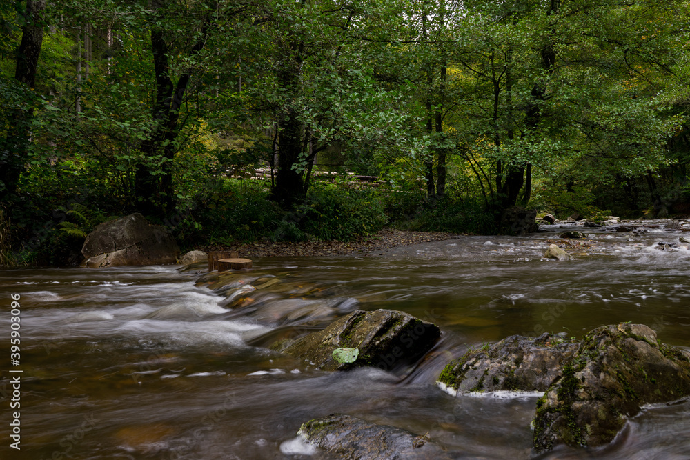 Creek Gue la Warche in the Belgium Eifel parknear Ovifat, Robertville and Spa. Creek Gue la Warche in the Belgium Eifel parknear Ovifat, Robertville and Spa.