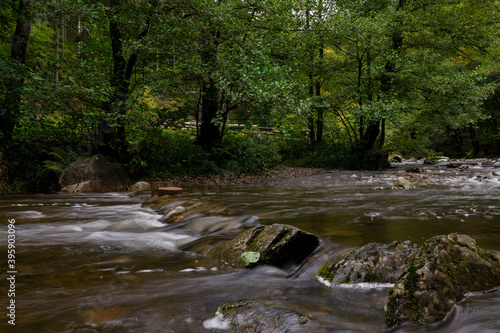 Creek Gue la Warche in the Belgium Eifel parknear Ovifat, Robertville and Spa.