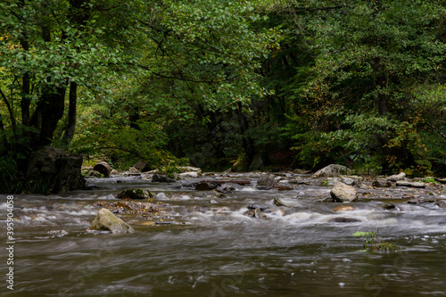 Creek Gue la Warche in the Belgium Eifel parknear Ovifat, Robertville and Spa. photo