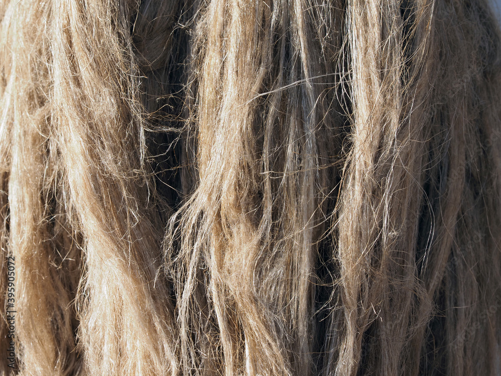 Fototapeta premium Linen fiber as texture and background